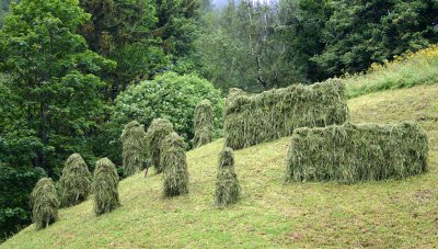 032haystooks 2.jpg