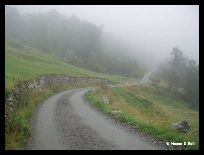 1687 P8230023 Grusvg i dimma Geiranger.jpg