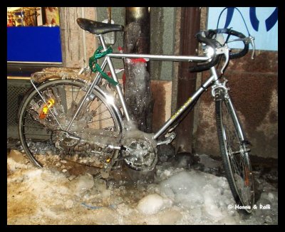1694 Fastfrusen cykel 1.jpg