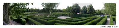 Maze in the Schnbrunn garden