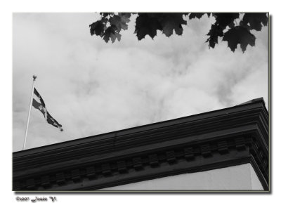 Fleur de lys ou feuille d'érable ??