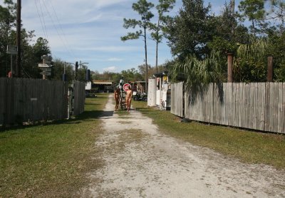 Greeters 464.jpg