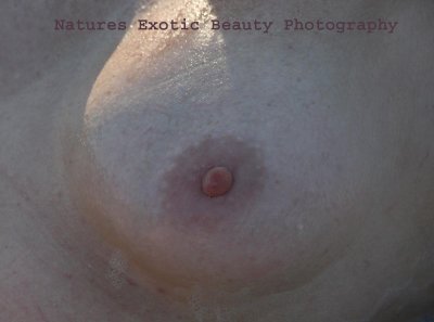 Breast 059.jpg