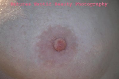 Breast D063.jpg