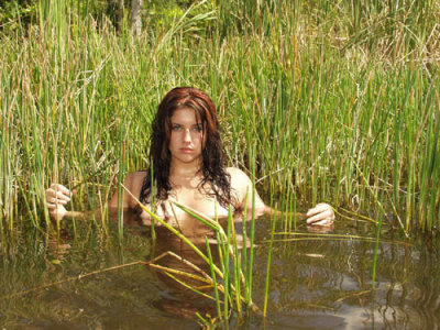 Swamp Beauties 526