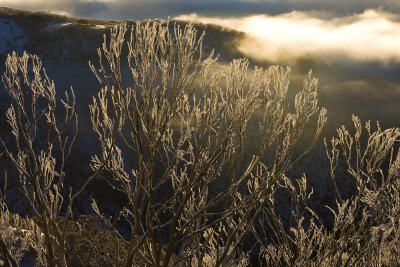 Mt Hotham