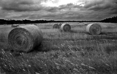 Bales