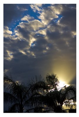 clouds and palms