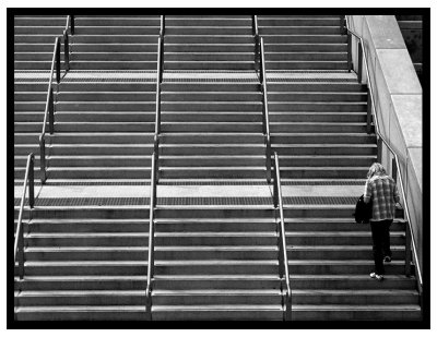 Lonely Stairs