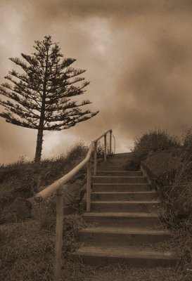  steps.jpg