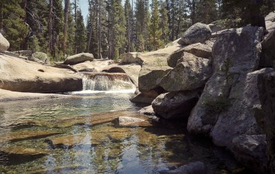 Along the Trail