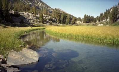 Tuolumne Meadows