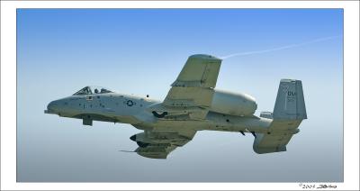 A-10-1a.jpg