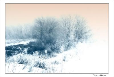 Pastel Winter.jpg