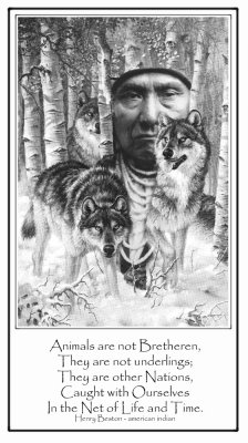 I Combined the Chief,the Wolves and the Quote from 3 diferant Sources. It seemed like the thing to do!