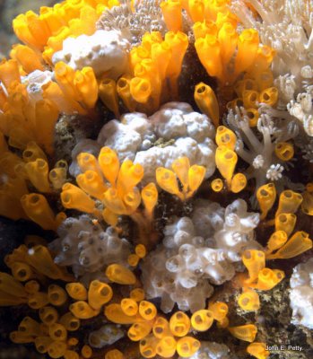 100421_0114.jpg