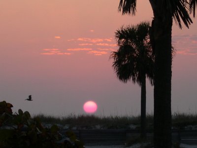 Clearwater Sunset