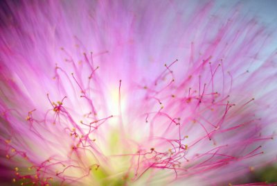 MACRO