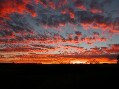 Sunset at Bosque del Apache