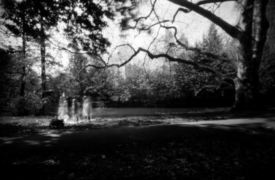 Pinhole pictures