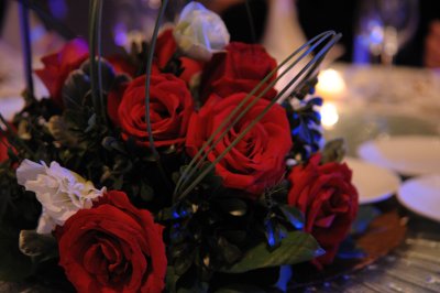DSC_2679.jpg