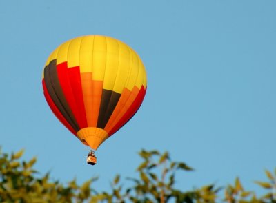 Above The Tree Line