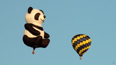 Panda With Top