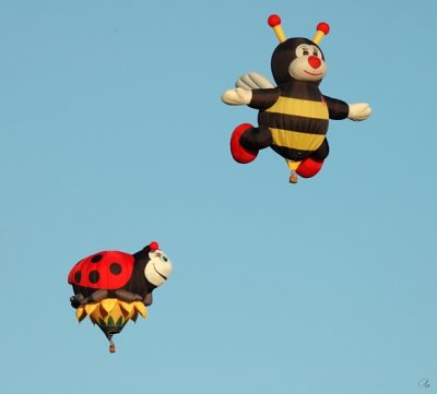 Ladybug And Bee #2