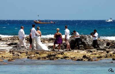 Weddings To Which I Was Not Invited
