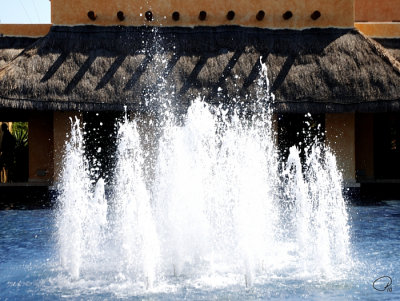 Tropical Fountain