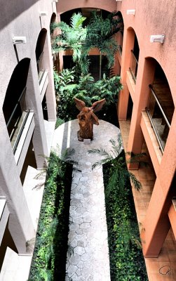 Tropical Veracruz Building Courtyard II