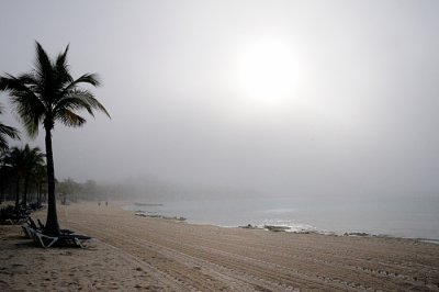 Foggy Morning Looking Towards The Palace