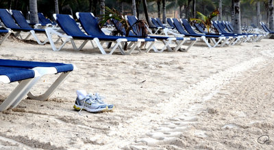 Forgotten Shoes Or Gone For  A Swim?