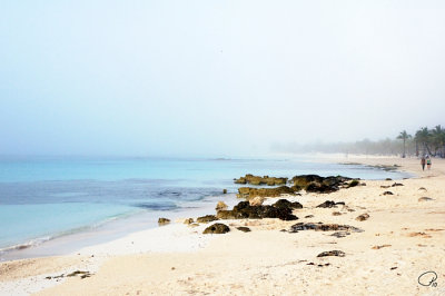 Quiet Beach In The Fog
