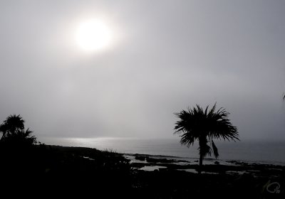 Fog Veil For The Sun