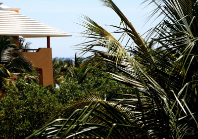 Our Oceanview I
