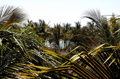 Our Oceanview II
