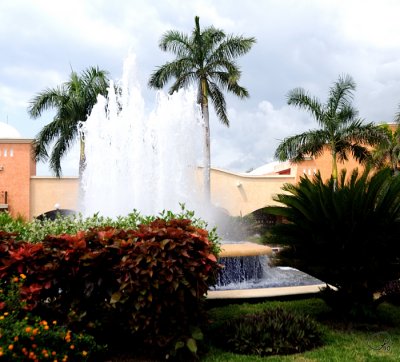 Fountain Outside the Tropical