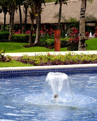 Tropical Fountain