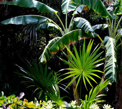 Greenery