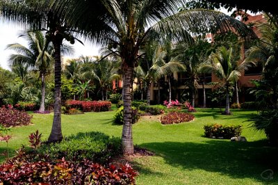 Manicured Landscaping
