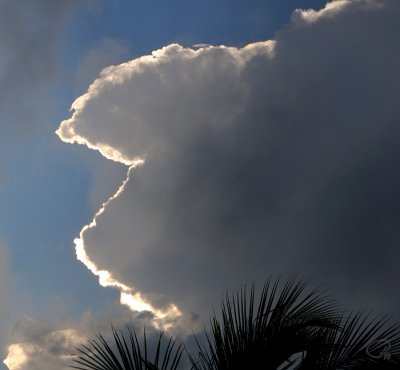 Storm Cloud Rolling In