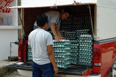 Huevos