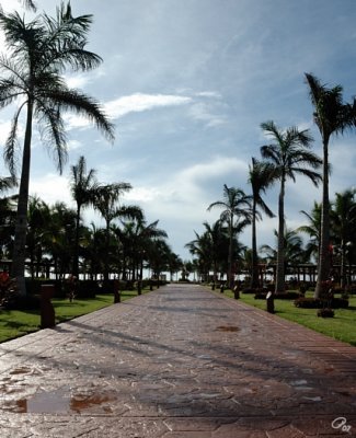 All Paths Lead To The Beach
