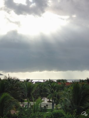 Early Morning View From Yucatan Building, Room 7313