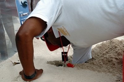 Digging For Tortuguitas