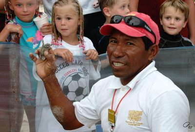 Manuel Teaching Us About The Turtles
