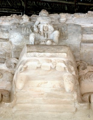 The Upper Jaw Showing The Outgoing And Incoming Rulers