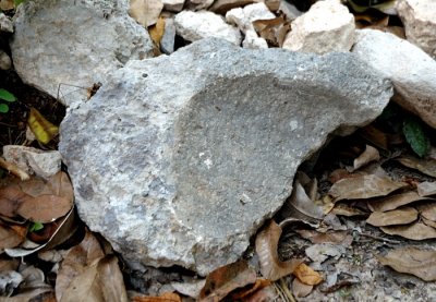 Grinding Stone Found In The Rubble