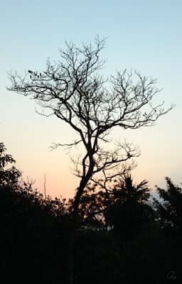 Our View Of The Sunrise
